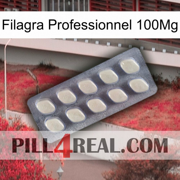 Filagra Professional 100Mg 08